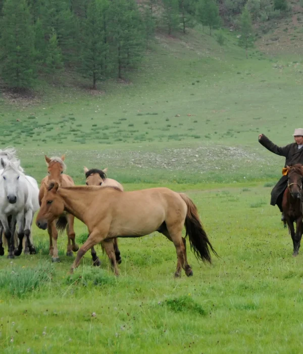 Mongolia Horse Trekking Tour