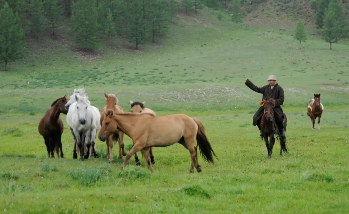 Mongolia Horse Trekking Tour