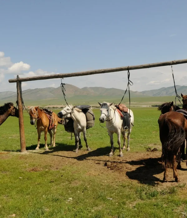 Mongolia horseback riding tour