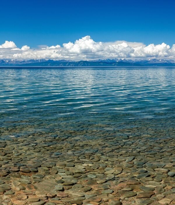Reindeer Herders Tour Mongolia