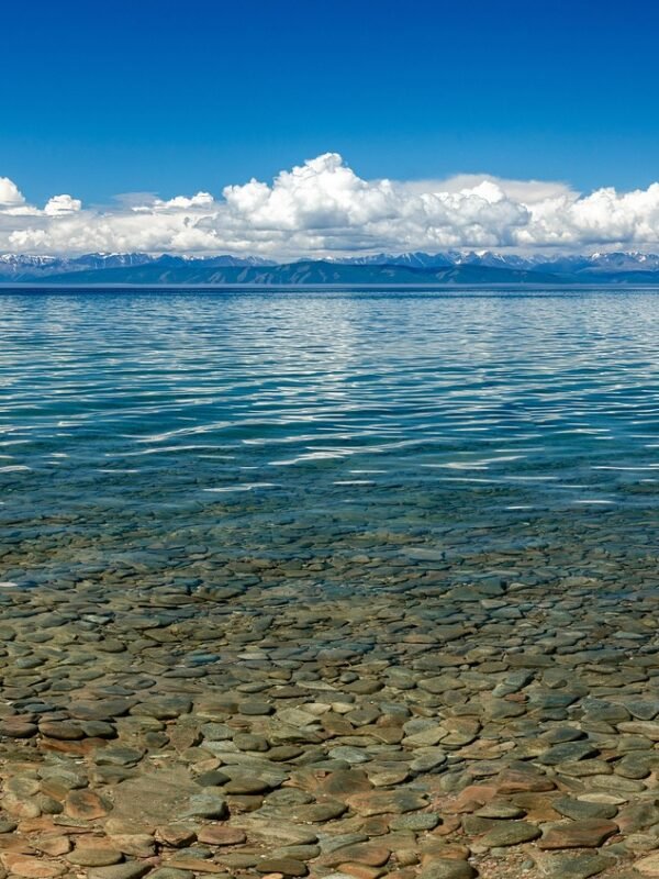 Reindeer Herders Tour Mongolia